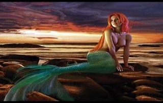 “Me encontré con una sirena “ Sirena15
