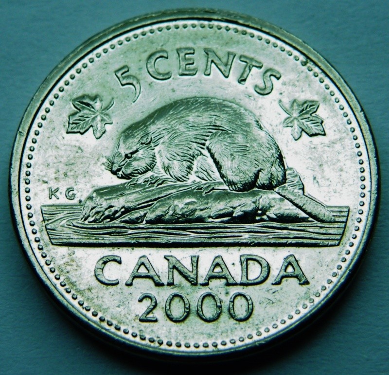 2000 - Dommage au Coin dans 5 Cents & Sous le Nez du Castor (Die domage) Dscf3419