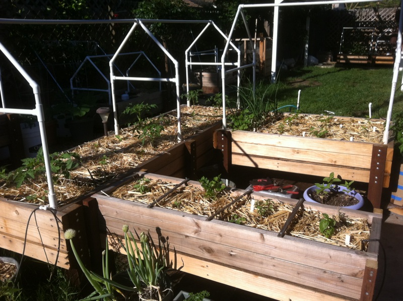 PVC Cold Frame Table_13