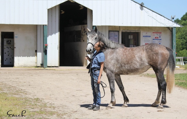 (Dpt 63)  CALYPSO, ONC, Adoptée par le centre equestre de pluvigner (Août 2014) - Page 10 11051810