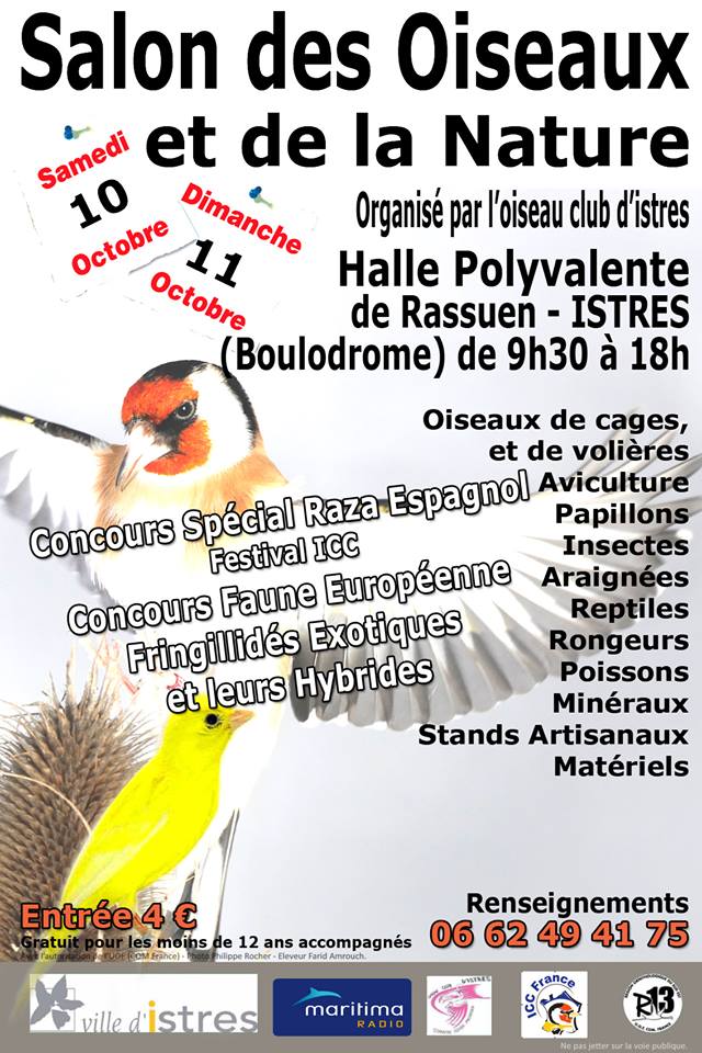 Salon des Oiseaux à Istres [10 et 11 octobre 2015] Concou10