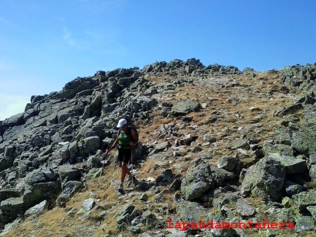 20150829 - PTO.NAVACERRADA - CANTO COCHINO (PEDRIZA) 00710