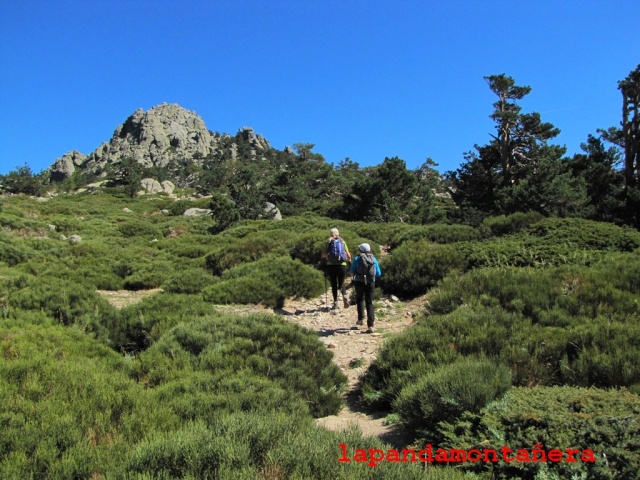 20150920 - PTO.NAVACERRADA - SENDA HERREROS 02012