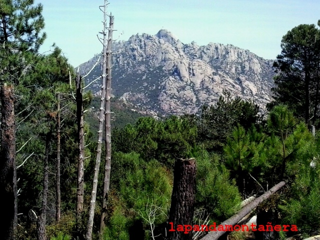 20150829 - PTO.NAVACERRADA - CANTO COCHINO (PEDRIZA) 03010