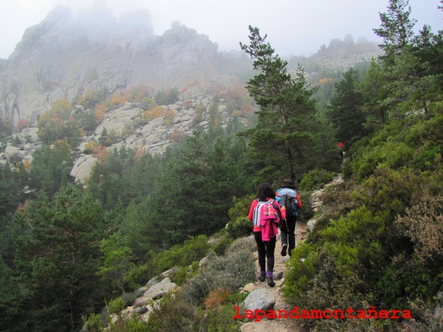 20151031 - RUTA POR LA PEDRIZA 03013