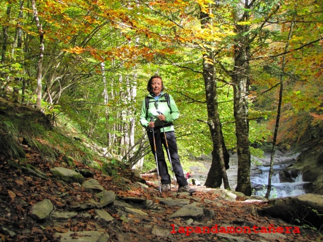 20151010 - PIRINEO NAVARRO - SELVA DE IRATI 04113