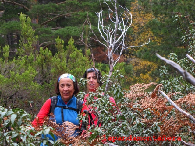 20151031 - RUTA POR LA PEDRIZA 09111