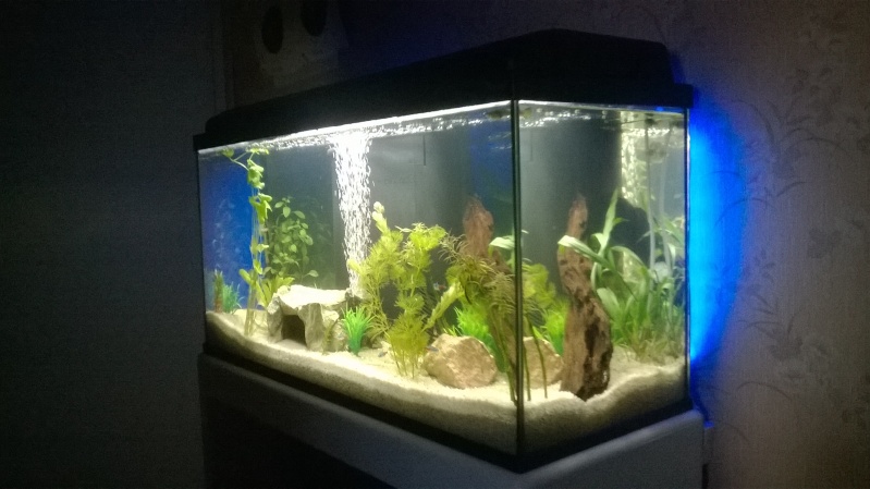 Aquarium 90L Wp_20110