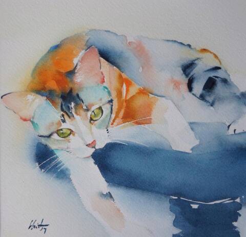 Le Portrait De Votre Chat A L Aquarelle Au Profit De L Ecole Du Chat De Quiberon Page 19 Le Portrait De Votre Chat A L Aquarelle Au Profit De L Ecole Du Chat De Quiberon Page 19