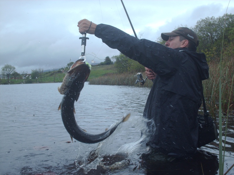 Félicitations au vainqueur de novembre Irland24