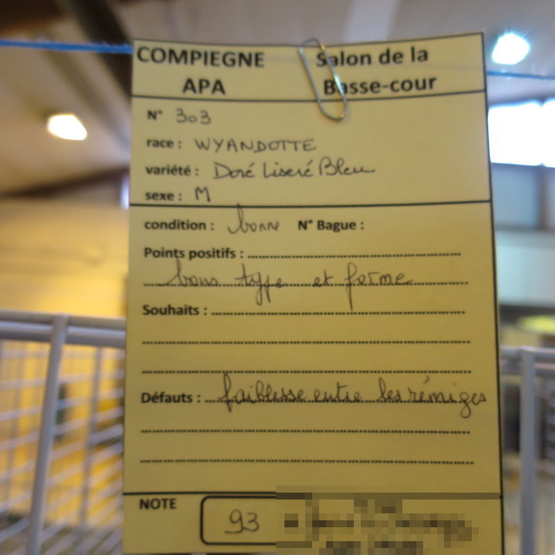 Compiègne 2015-11 Compie79