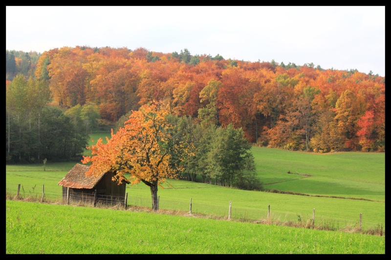 Un automne entre Alsace et Sud-Ouest...(complété) Aut110