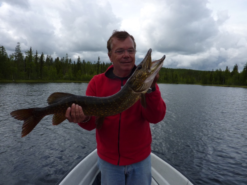 Séjour Suède et blog : Fishing Aventures  P1060311