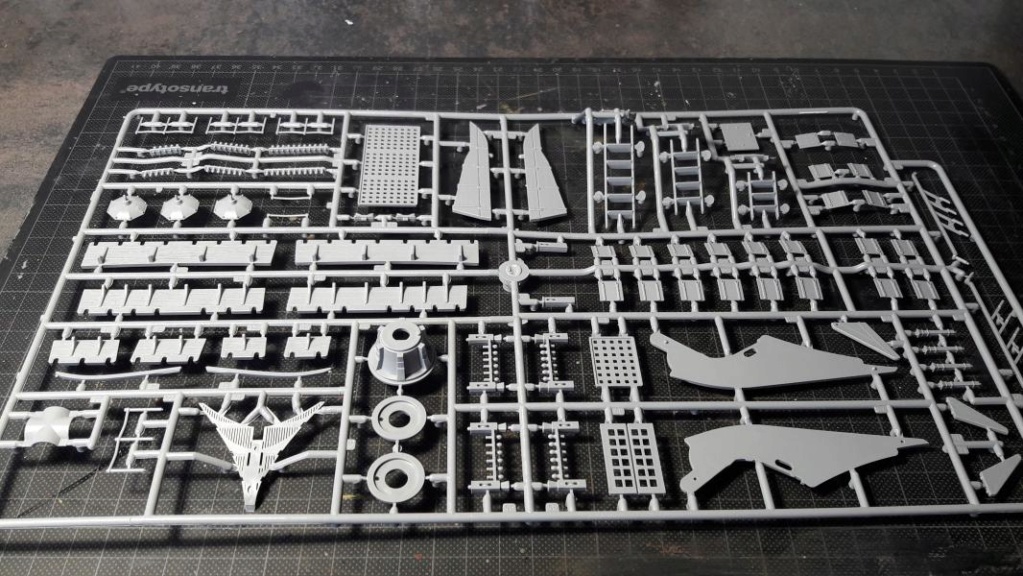* 1/72 Le Blackpearl Revell 1719