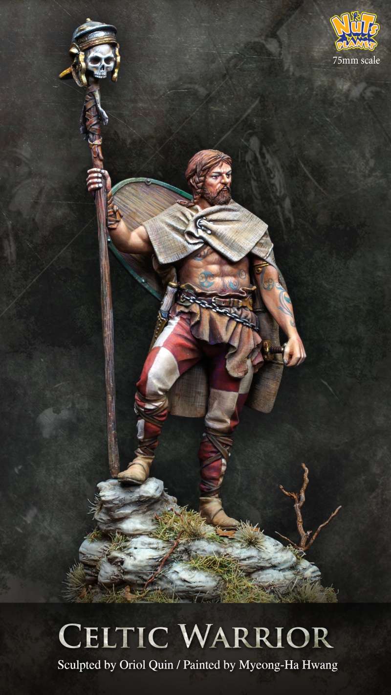 Celtic Warrior from Nutsplanet!! 711