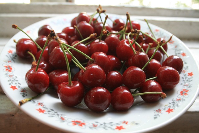 La récolte des fruits Cerise10
