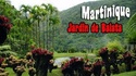 Quizz n°18 La Martinique Département d'Outre Mer  - Page 2 Jardin17