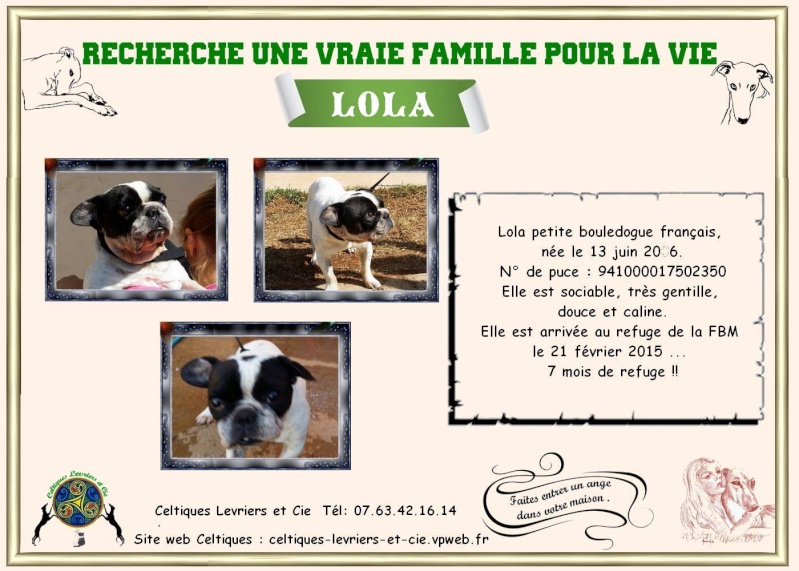 Lola - bouledogue français Fiche_16