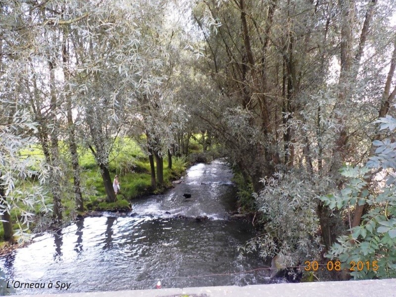 CR du 30/8/15, sur les traces de l'Homme de Spy... Dscn1653