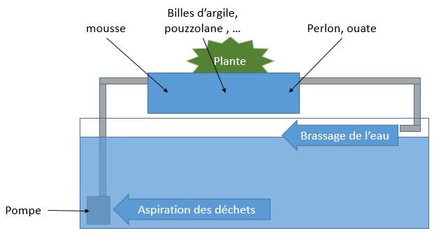 filtre bac a fleur  Filtre11