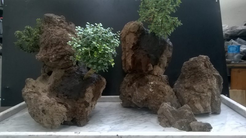 Penjing- landscape ...........work in progress Wp_20115