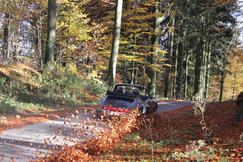 Porsche en automne - Page 2 Plaque12