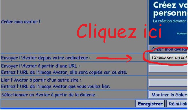 Comment mettre un Avatar (Photo de Profil) Tuto3-10