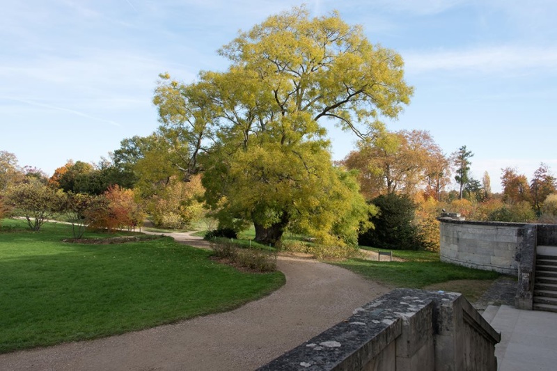 Grotte et jardin du Petit Trianon - Page 17 Zzz27