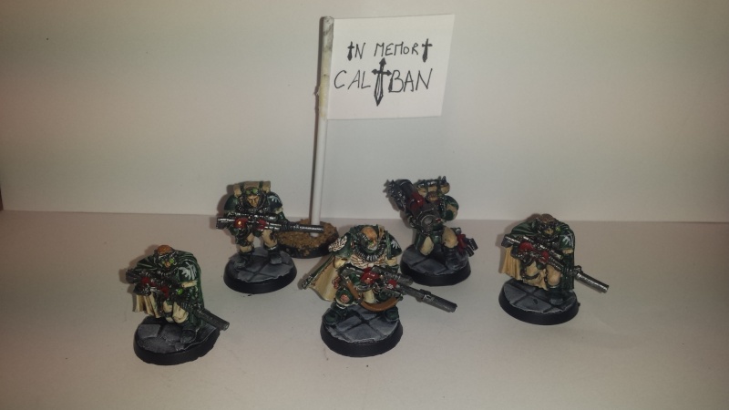 [FINI][wedge/ dark angels ]  escouade scout Tennant  80 pts 20150931