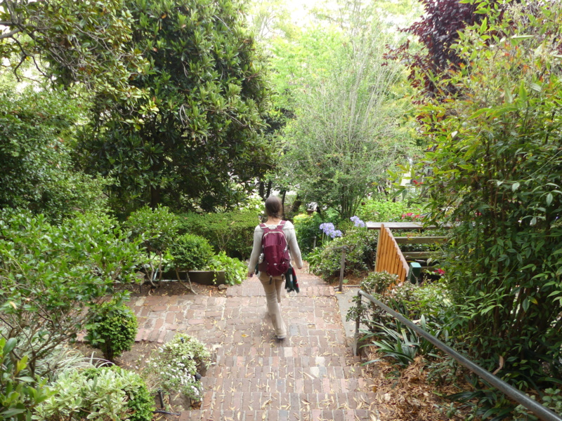 [29 juillet au 20 août] L'ouest américain en plein été ! P1020445