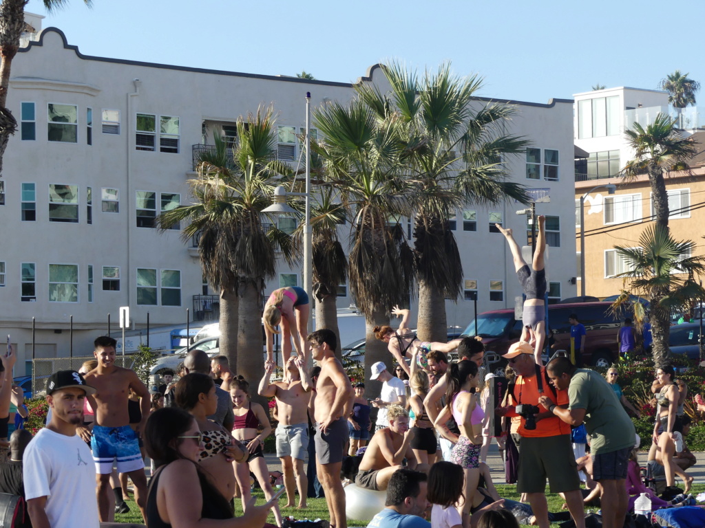 [29 juillet au 20 août] L'ouest américain en plein été ! - Page 8 P1100311