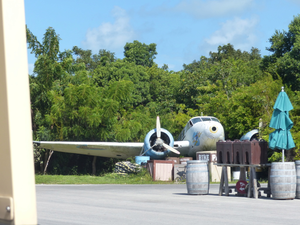 [Halloween 2018] Universal Studios, Disney Cruise Line dans les caraïbes et Gatorland - Page 14 P1160866