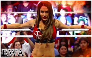 Paige vs Nikki Bella & Becky Lynch Nikki110