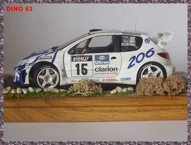 PEUGEOT 206 WRC 2000, l histoire de Peugeot 206  au 24ème Réf 80708 Peu_2010