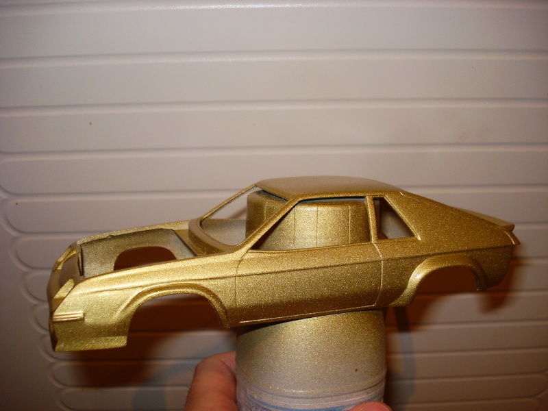Dodge Charger Shelby '87 [WIP Coque vide] Dsc00014