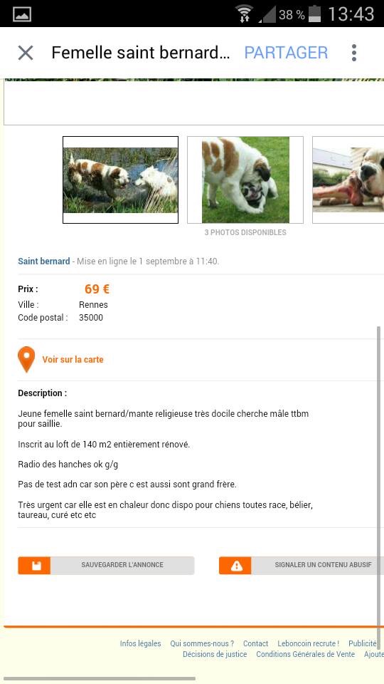 Chiot - top annonce - Page 25 Img_0611