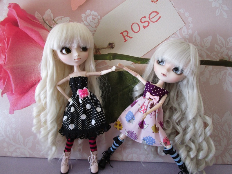 MES DEUX PULLIPS Img_0540