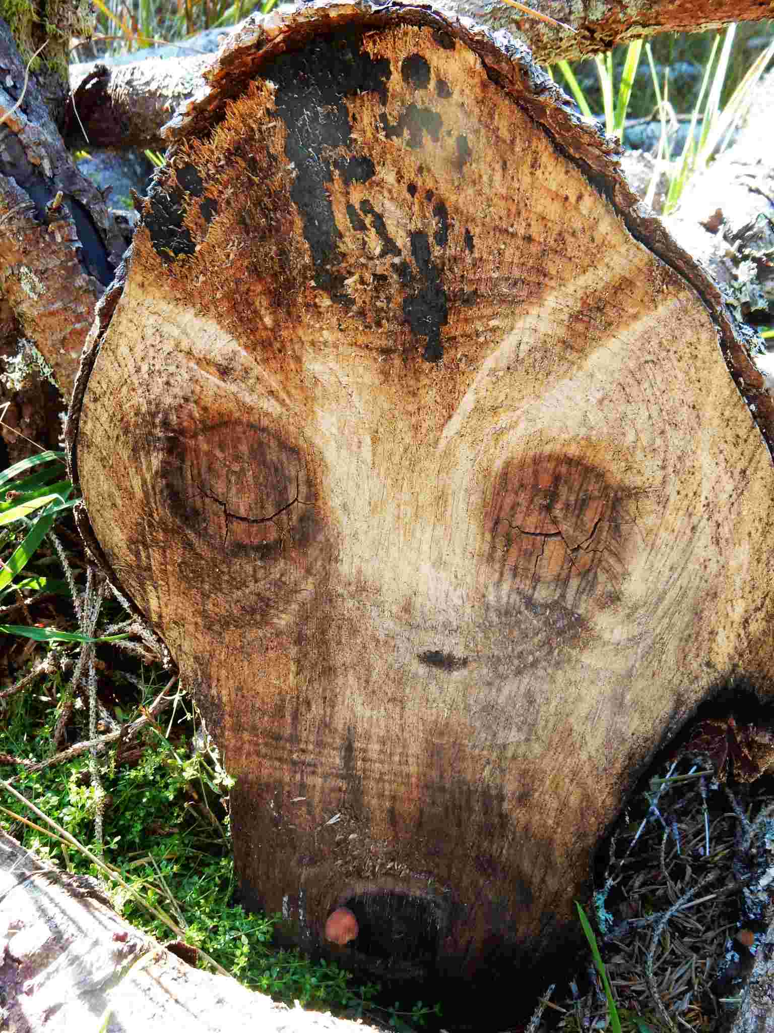variations sur Le Cri de Munch 020_210