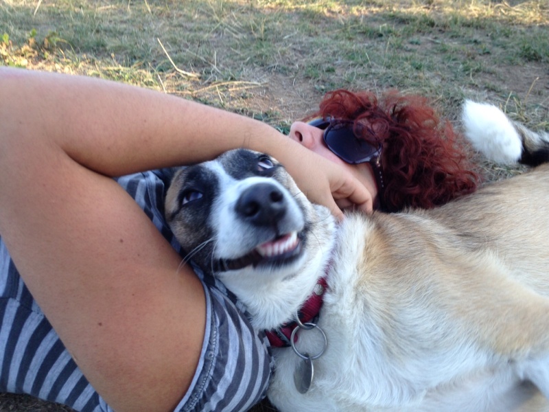 Grimaces de chien Img_2511