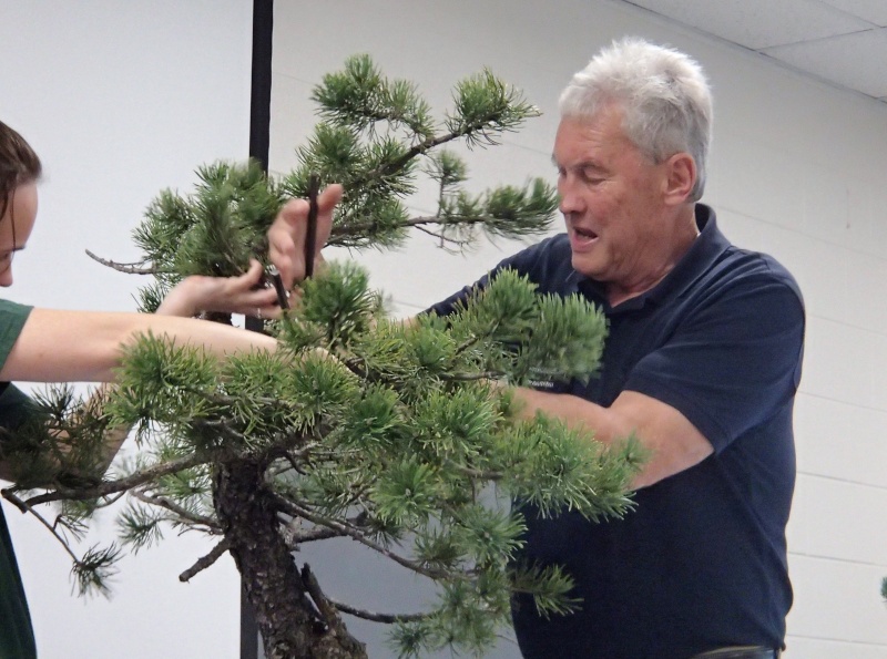 American Bonsai at the NC Arboretum - Page 28 Pa100119