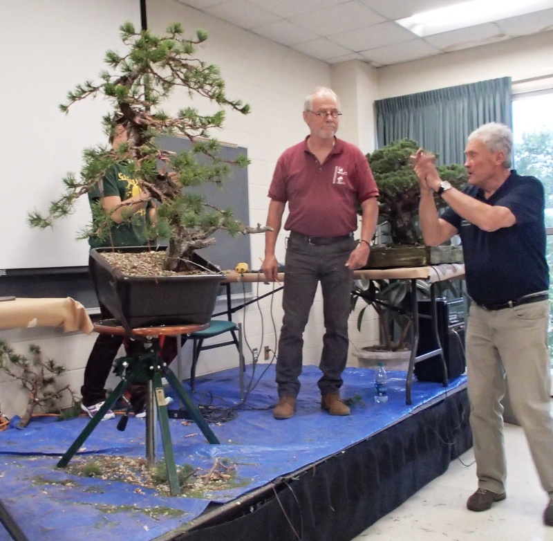 American Bonsai at the NC Arboretum - Page 28 Pa100120