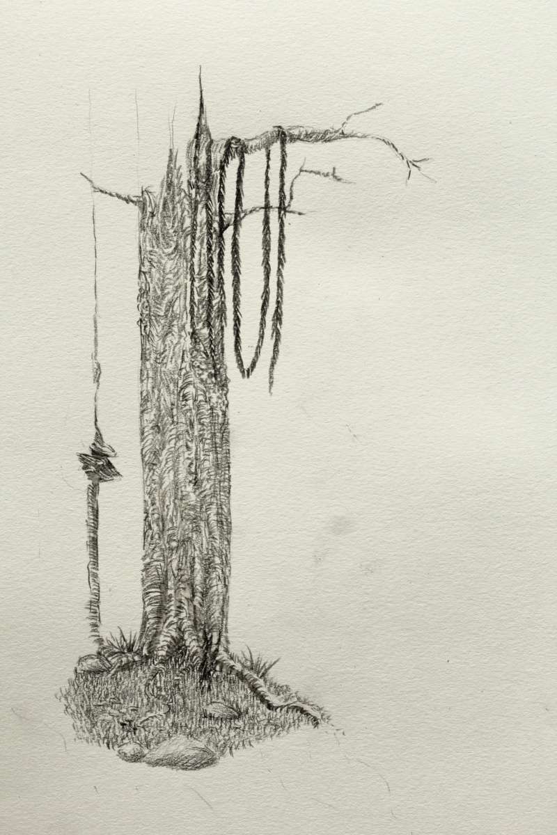 Croquis décor forestier