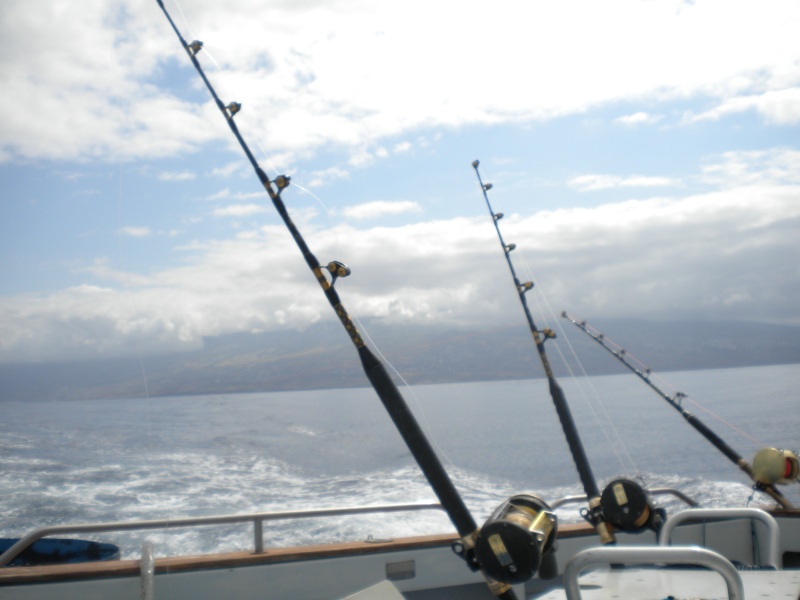 Sortie pêche au gros île de la Réunion Dscn0518