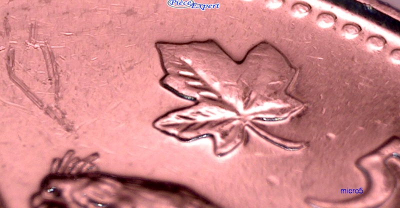 2007 - Coin Obturé Feuille Gauche (Filled Die) Cpe_i108