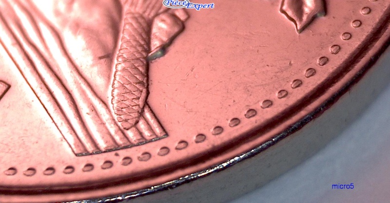 2009 - Éclat de Coin Progressif sur la Droite de la Bûche (Die Chip) Cpe_im60