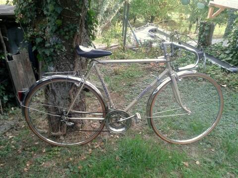 Velo starnord hotsell