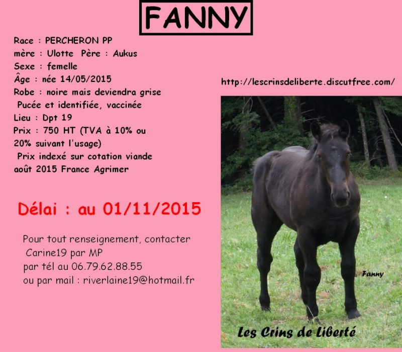 Dept19, FANNY, Percheron PP, réservé par Nathalie en Allemagne (Octobre 2015) Les_cr13