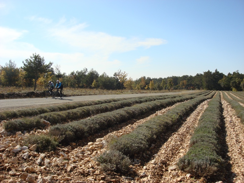 3 LRV dans le Lubéron ou "itinéraires de 3 cyclistes gâtés" Dsc03916