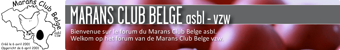 FORUM - MARANS CLUB BELGE asbl-vzw