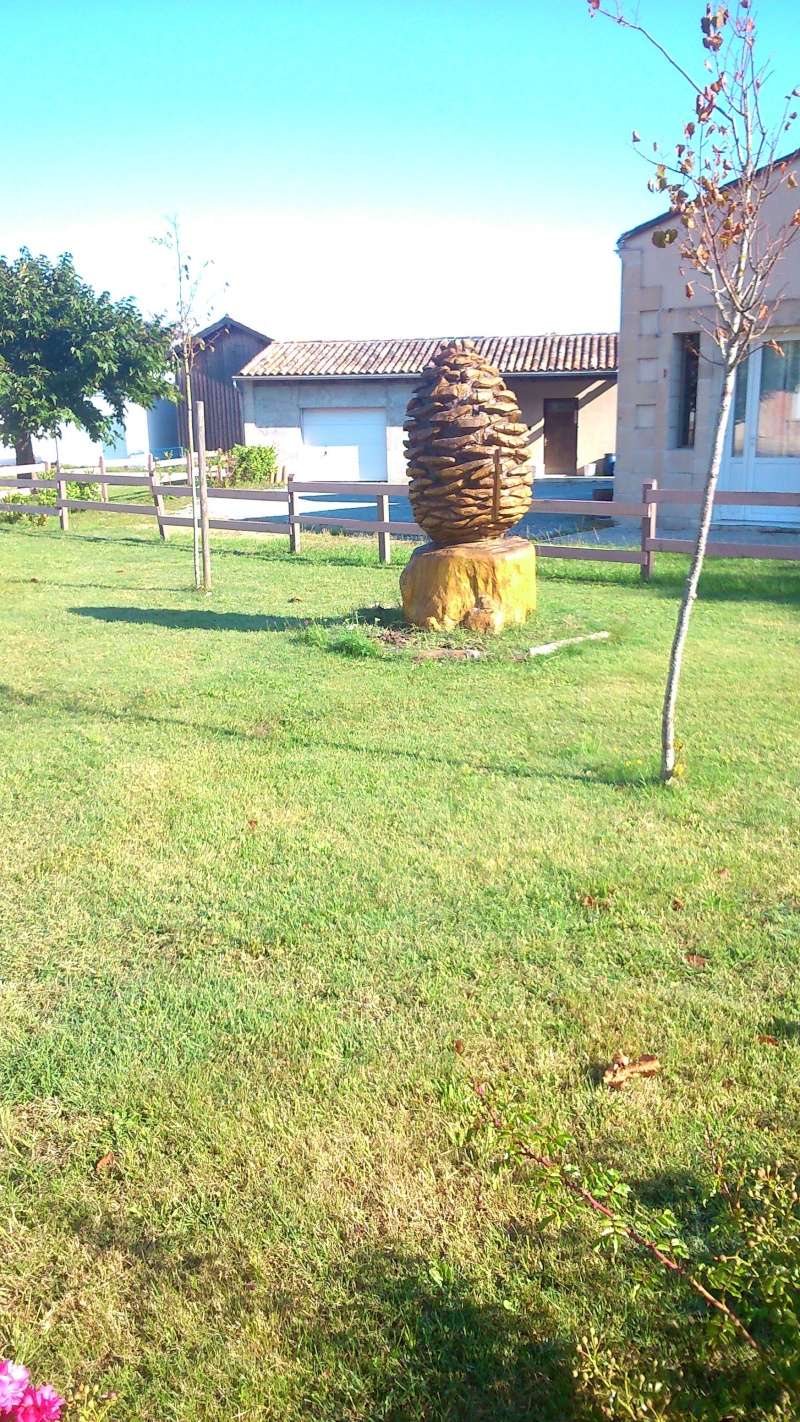 sculpture à la tronçonneuse d'une pomme de pin ou pigne pour les gens du Sud-Ouest Dsc_0110